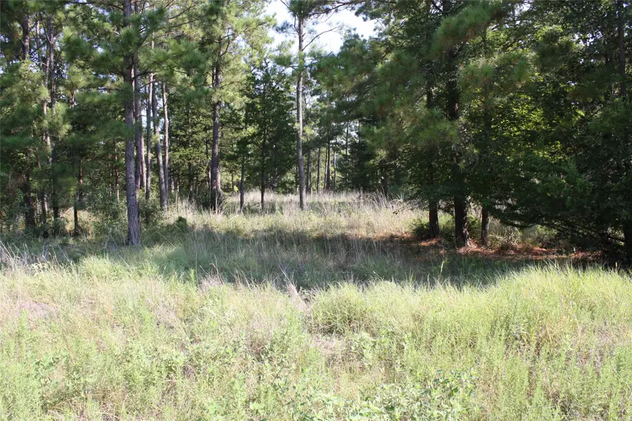 Lot 3 Morris Lane, Huntsville, TX 77320 - Image #2