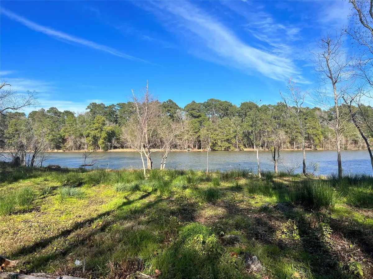 0 S Southshore Drive, Humble, TX 77338 - #1