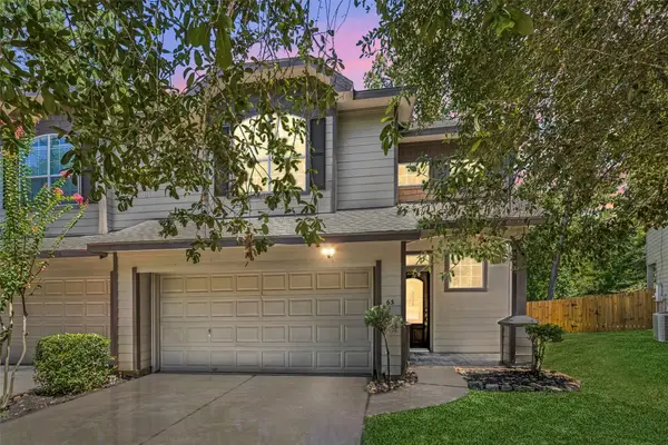 63 Benedict Canyon Loop, The Woodlands, TX 77382