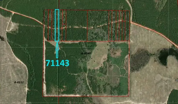 71143 Camp Seale Road, Livingston, TX 77351