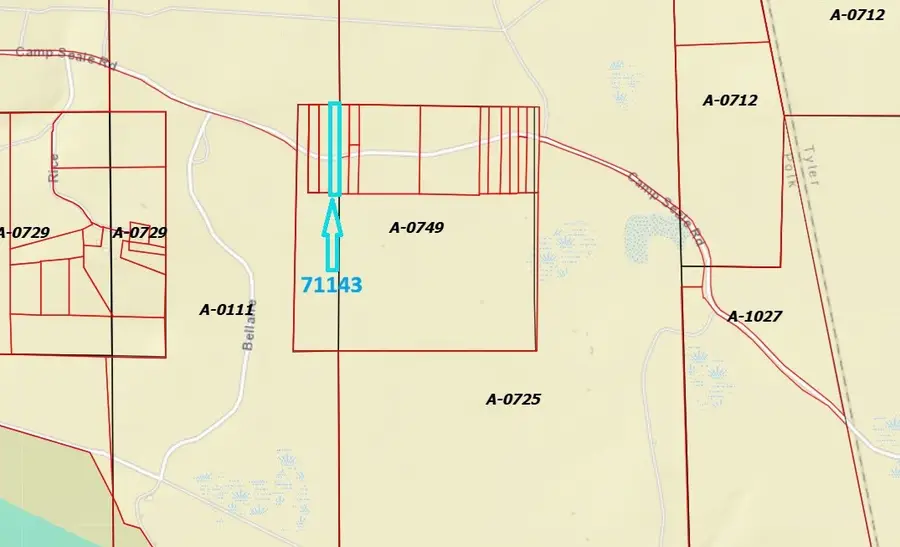 71143 Camp Seale Road, Livingston, TX 77351 - #2