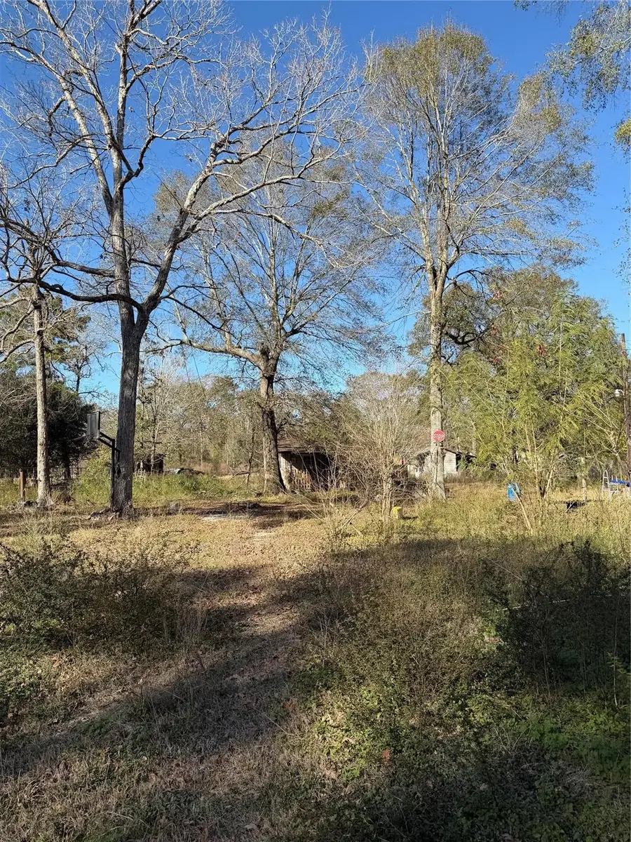 19875 Crystalwood Estates Drive, New Caney, TX 77357 - #2