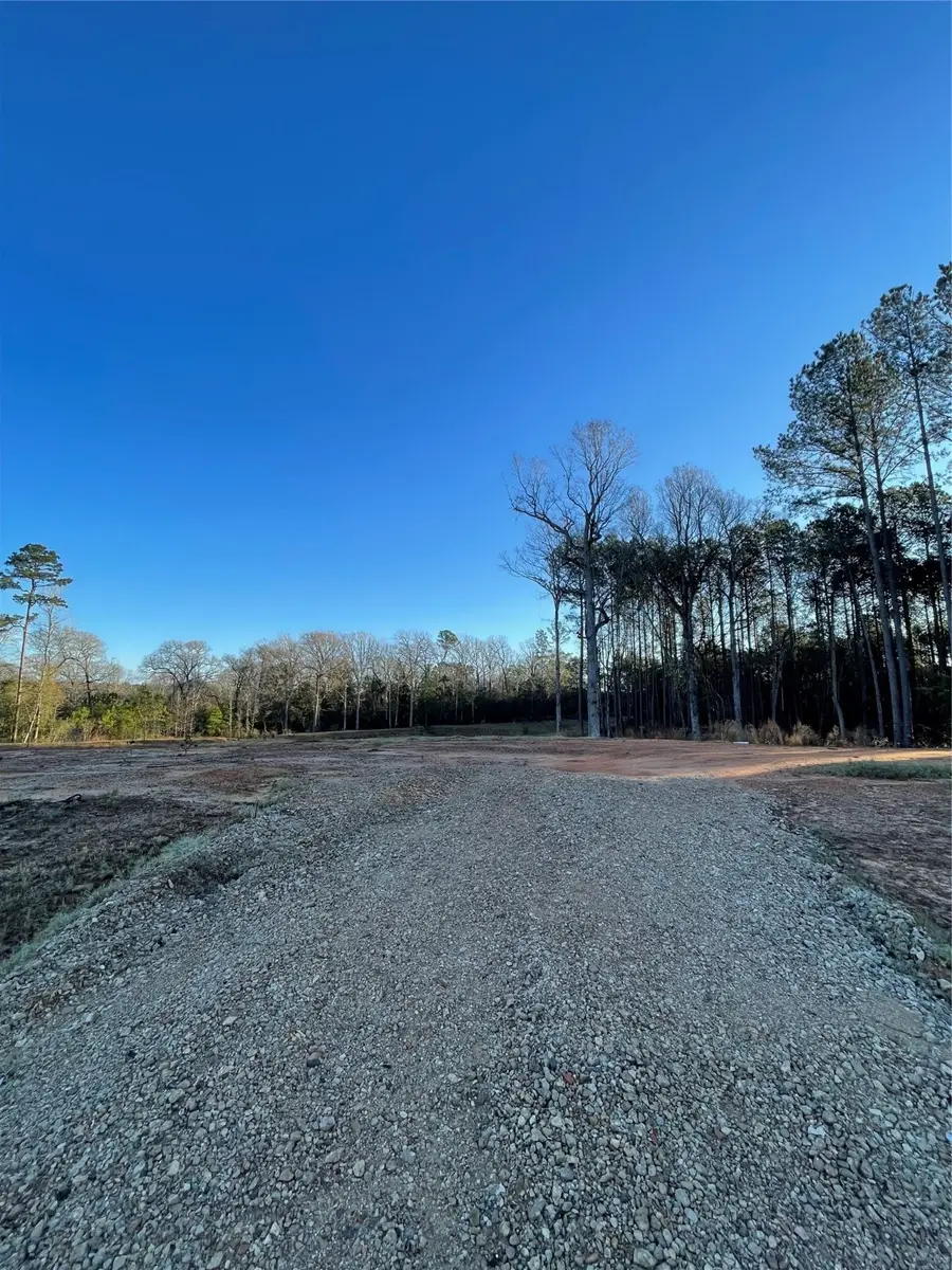 11374 Annie Creek Drive, Willis, TX 77378 - Image #2