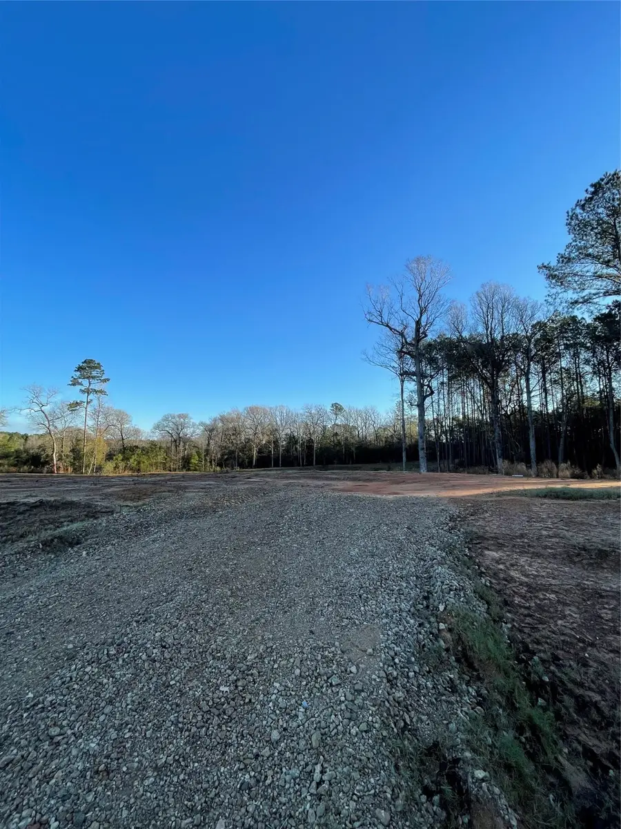 11374 Annie Creek Drive, Willis, TX 77378 - Image #3