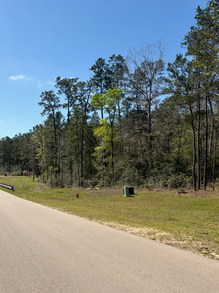 15633 Ridge Rock Road, Willis, TX 77378 - #2