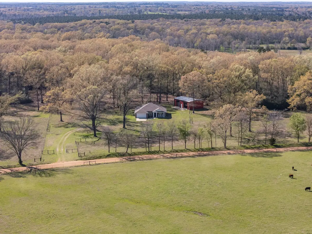 7542 County Road 4293, Tenaha, TX 75974 - Image #1