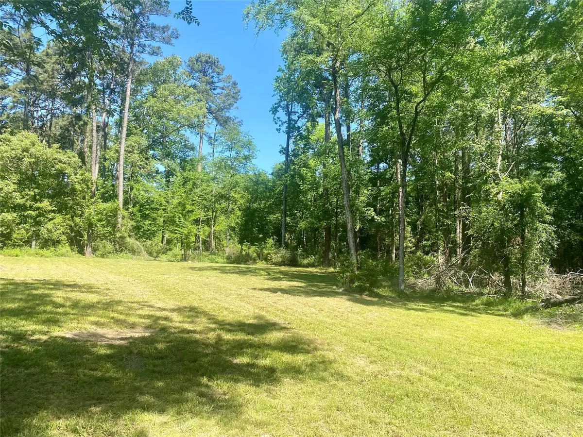 TR 29 Oak Pine Drive, Livingston, TX 77351 - #1