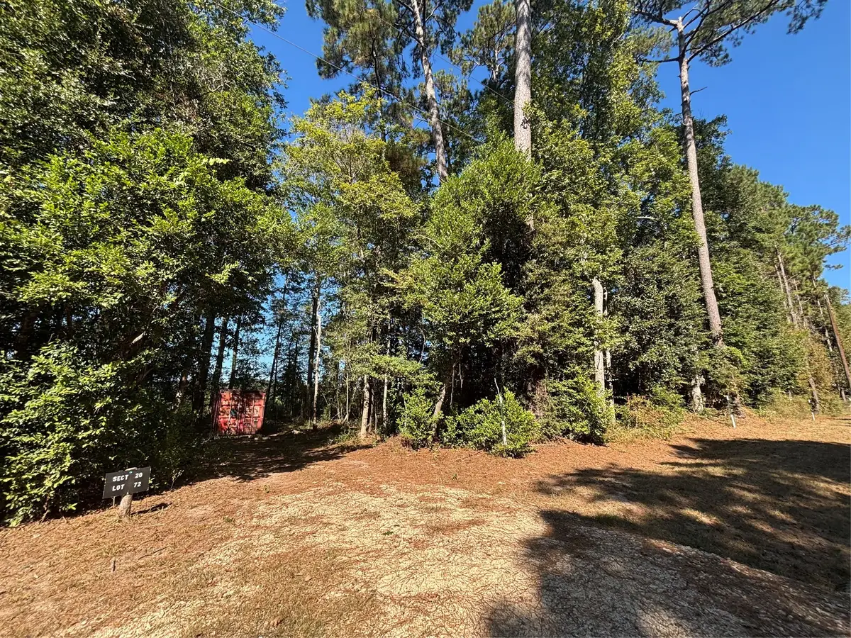 00 L C Herschap Lane, Livingston, TX 77351 - Image #1