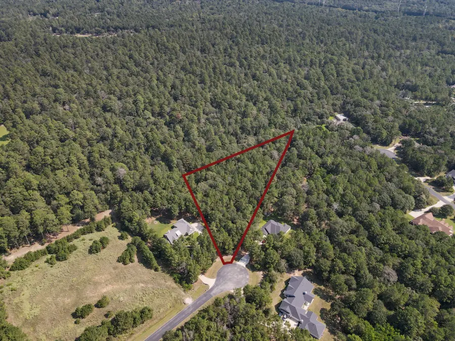 7715 Saddle Blanket Drive, Waller, TX 77484 - Image #2