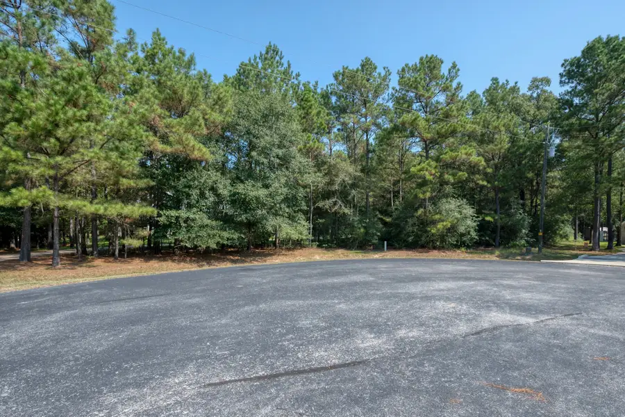 7715 Saddle Blanket Drive, Waller, TX 77484 - Image #3