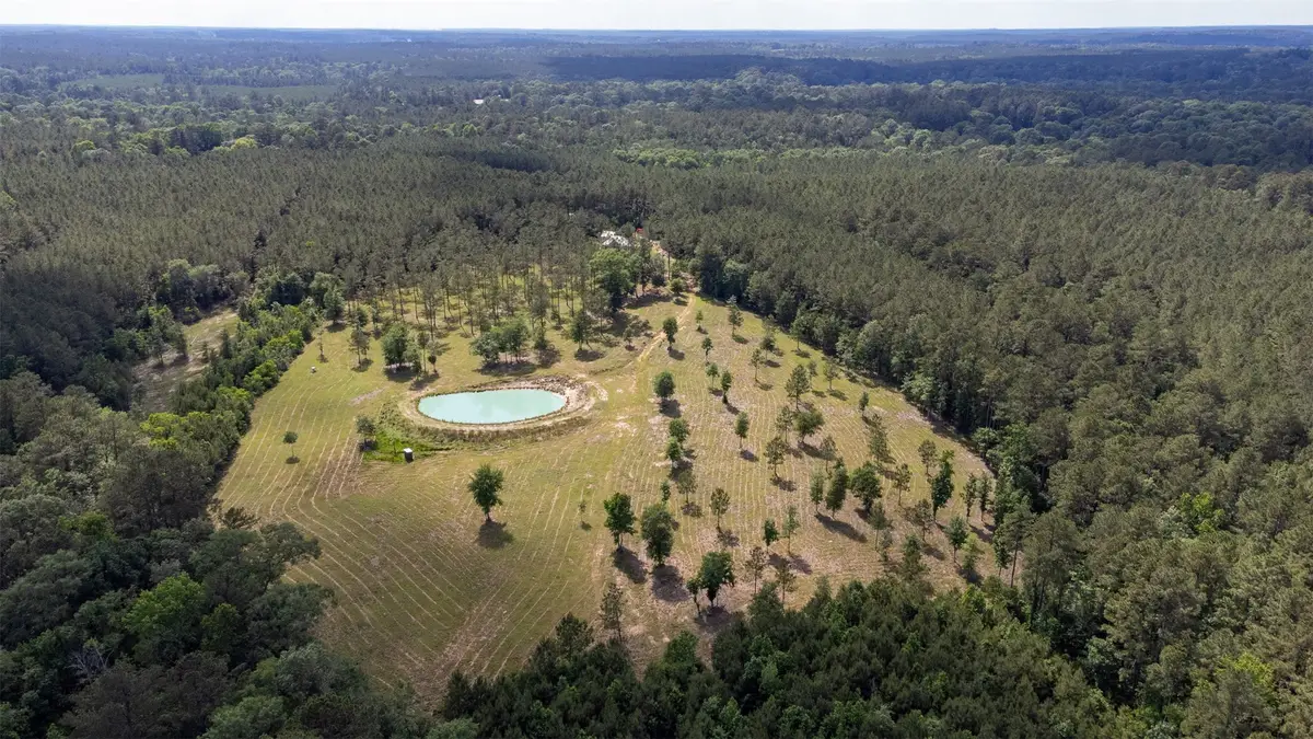 1068 County Road 3200, Colmesneil, TX 75938 - Image #1