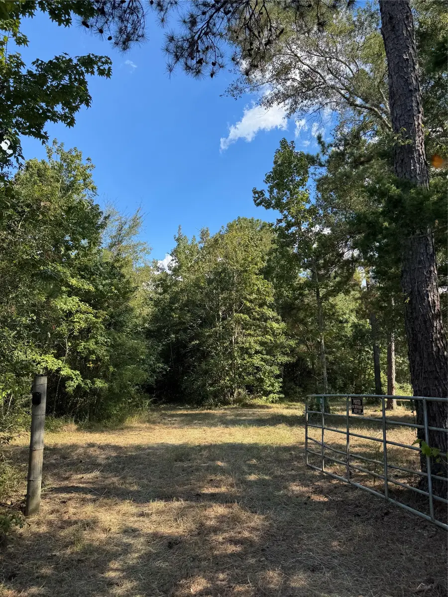 200 Spring Ridge Road, Coldspring, TX 77331 - #2