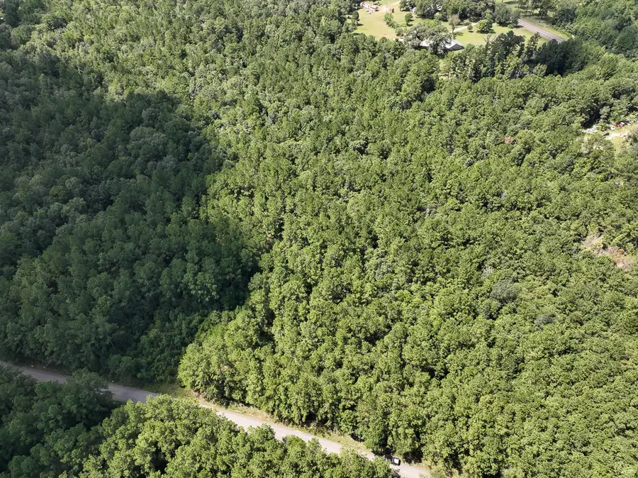 02 Cr 4470, Ivanhoe, TX 75979 - Image #2