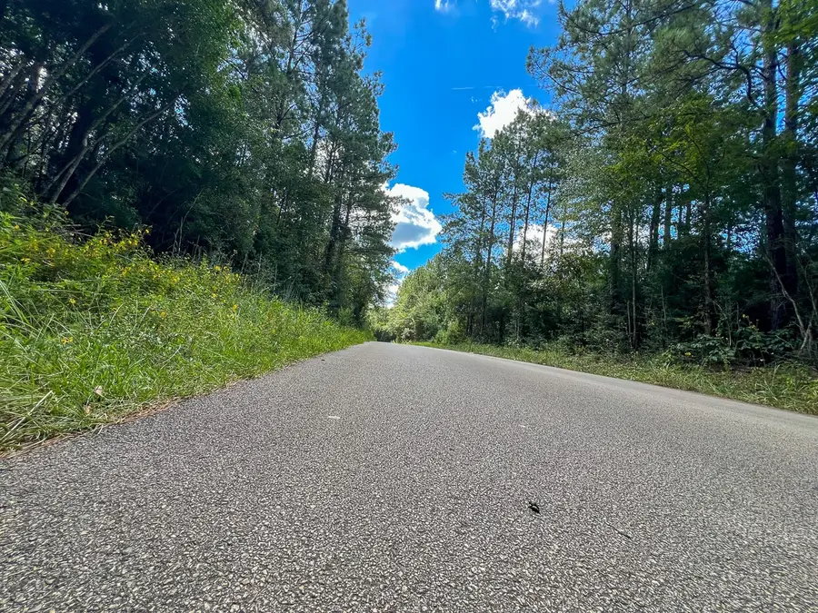 02 Cr 4470, Ivanhoe, TX 75979 - Image #3