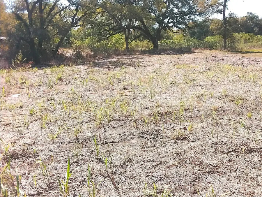 Lot 5&6 SW Blk First Avenue, Waelder, TX 78959 - Image #3