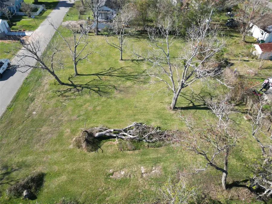 409 Carlton Street, Brazoria, TX 77422 - Image #2