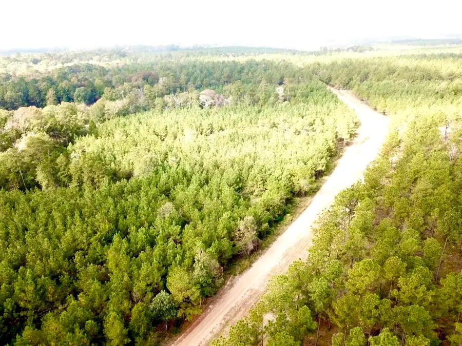 TBD Cr 2310, Woodville, TX 75979 - Image #2