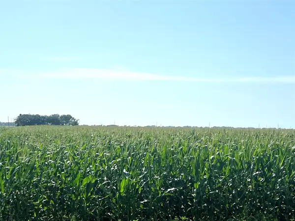 0 County Road 403, El Campo, TX 77437