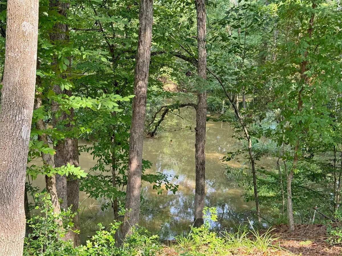 20 Lower Cove Drive, Pointblank, TX 77364 - Image #1