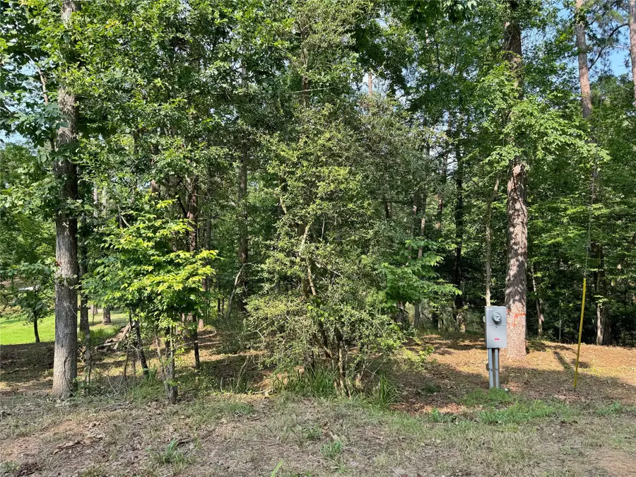 20 Lower Cove Drive, Pointblank, TX 77364 - Image #2