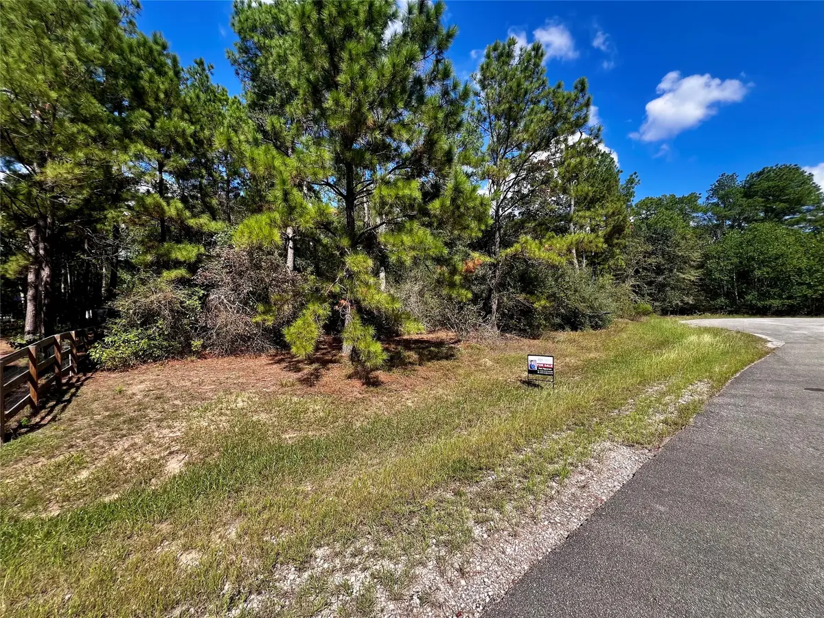 9485 Parkview Drive, Waller, TX 77484 - #1