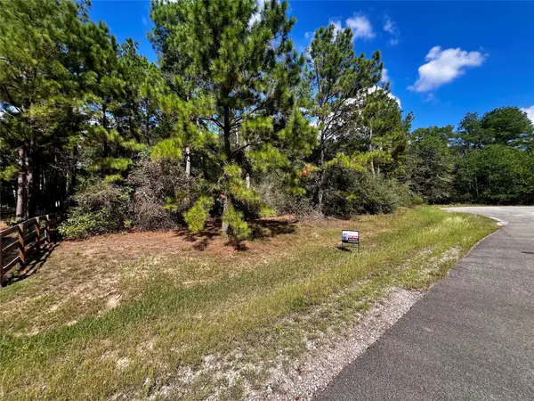 9485 Parkview Drive, Waller, TX 77484