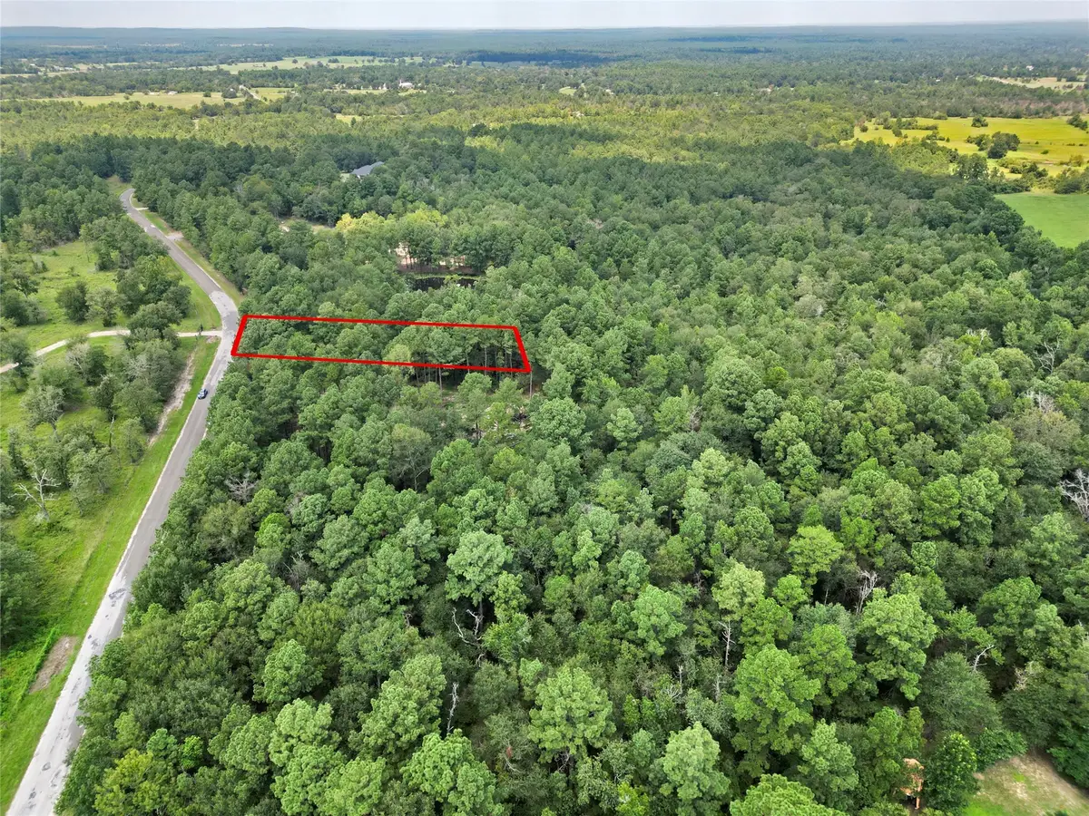 446 Moffett Springs Road, Huntsville, TX 77320 - #1