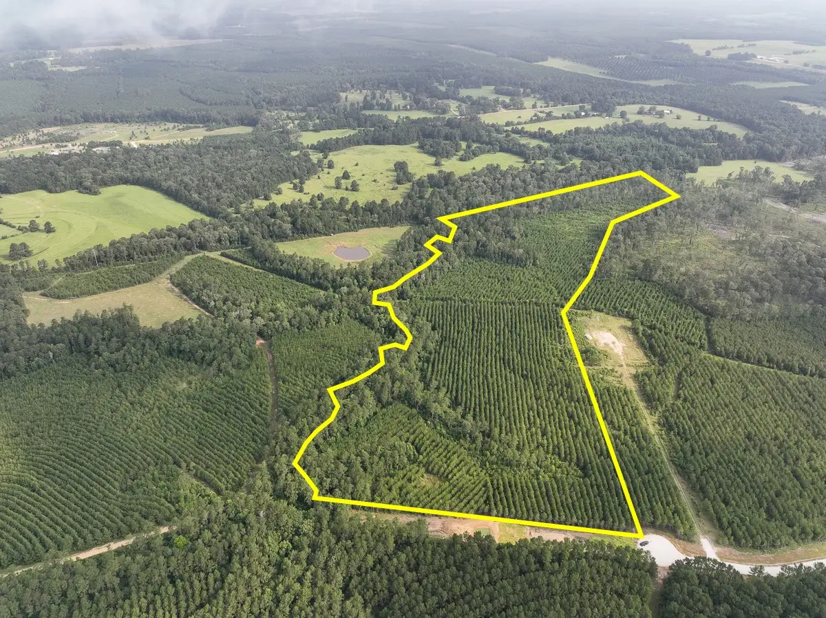 682 Cody Road, Livingston, TX 77351 - #1