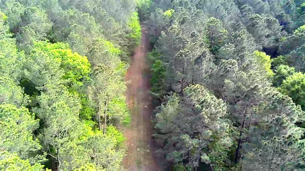 TBD Parcel # 96677 Hwy 190, Point Blank, TX 77364 - #1