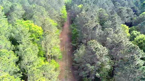 TBD Parcel # 96677 Hwy 190, Point Blank, TX 77364