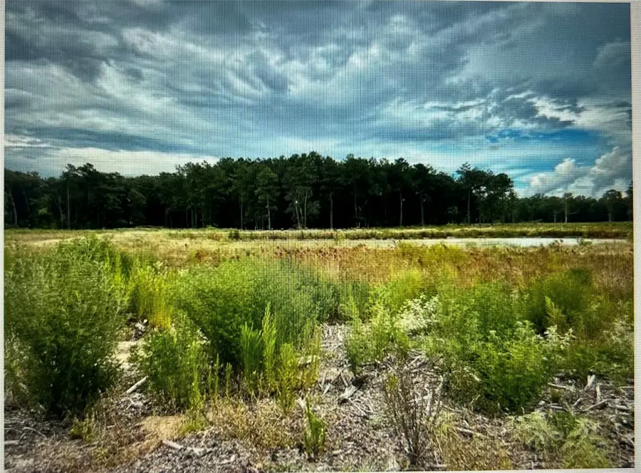 TBD 28 acres County Road 2184, Cleveland, TX 77327 - #3