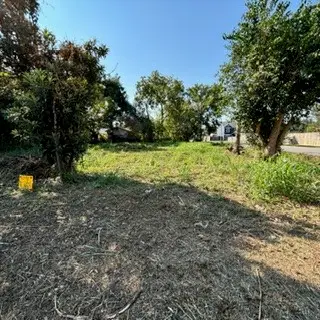 3207 Wipprecht Street, Houston, TX 77026 - Image #3