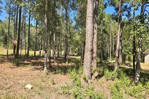 001 Grace Ln Lane, Lumberton, TX 77657