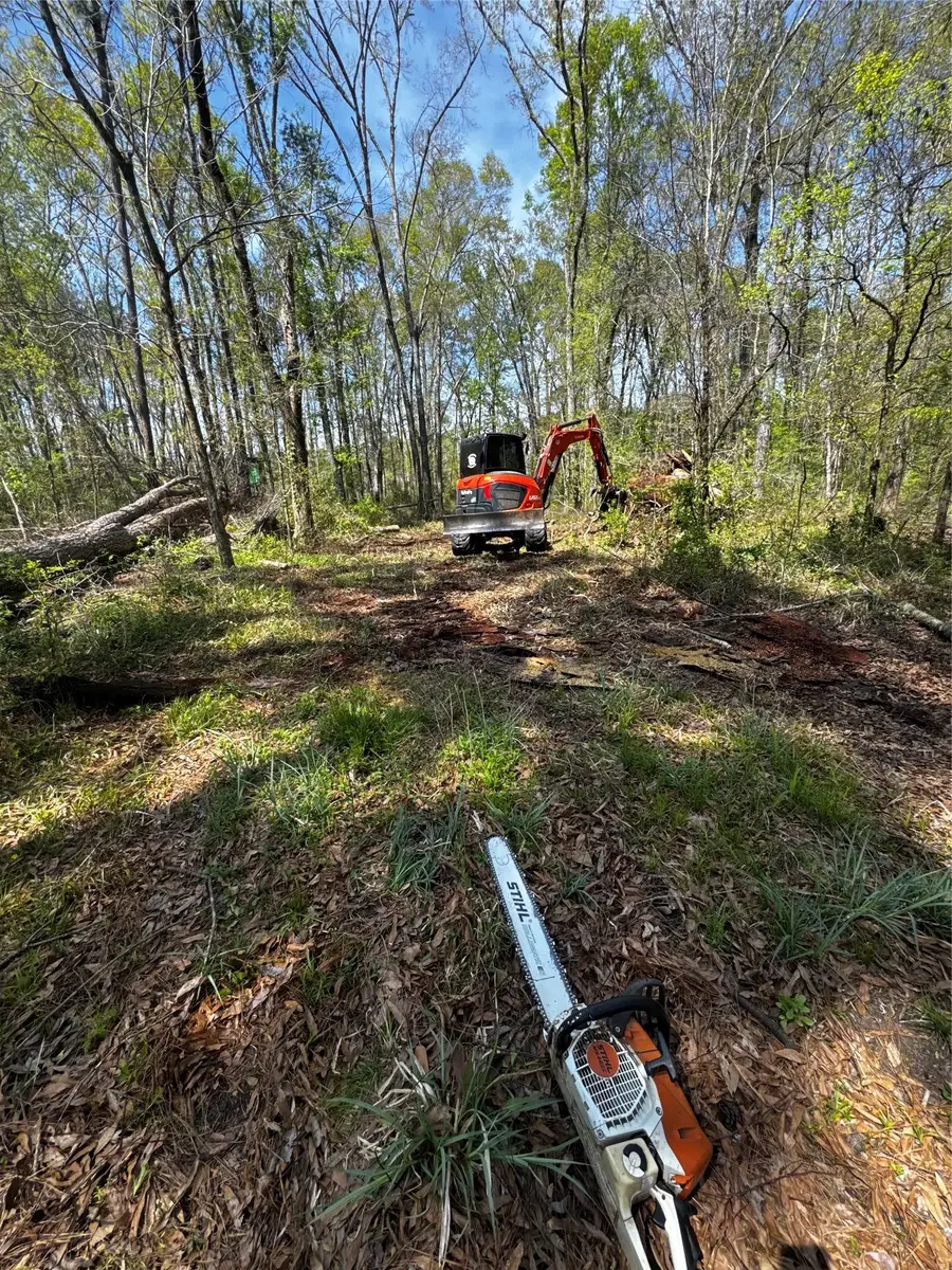 0 Winter Creek, Cleveland, TX 77328 - #2