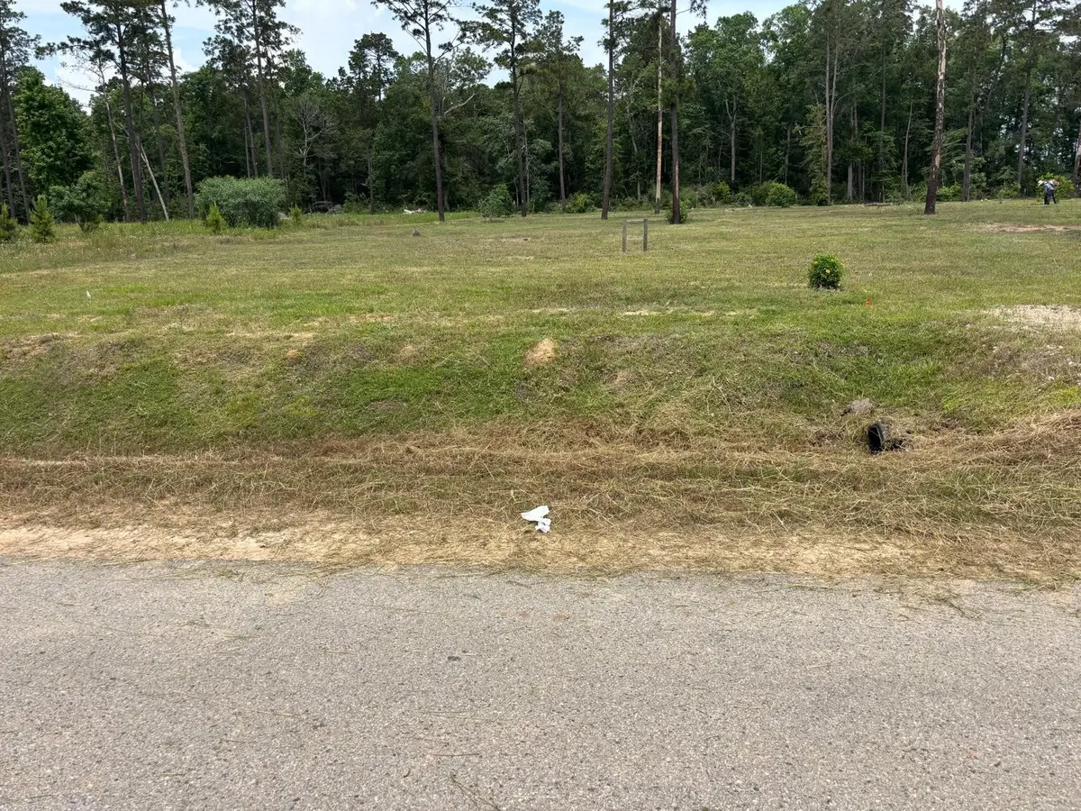 20043 Kincaid Drive, Conroe, TX 77306 - #1