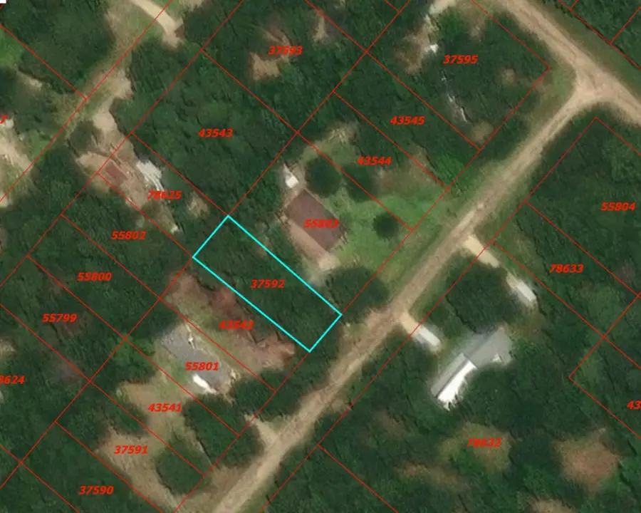 0 Rosemary Lane, Livingston, TX 77351 - Image #3