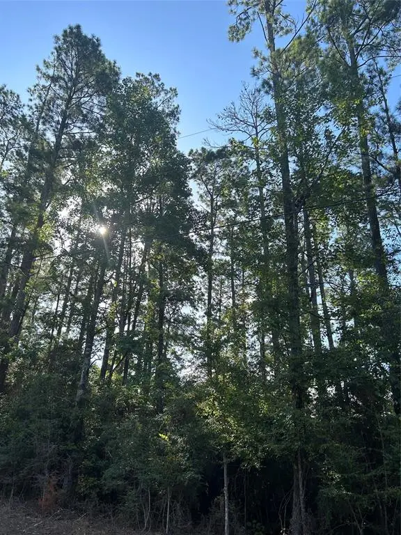 434445 Rob, Livingston, TX 77351 - #2