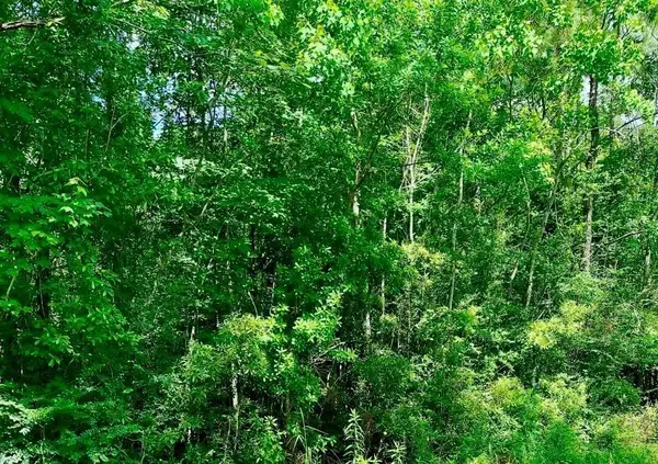 0 Ferito, Buna, TX 77612