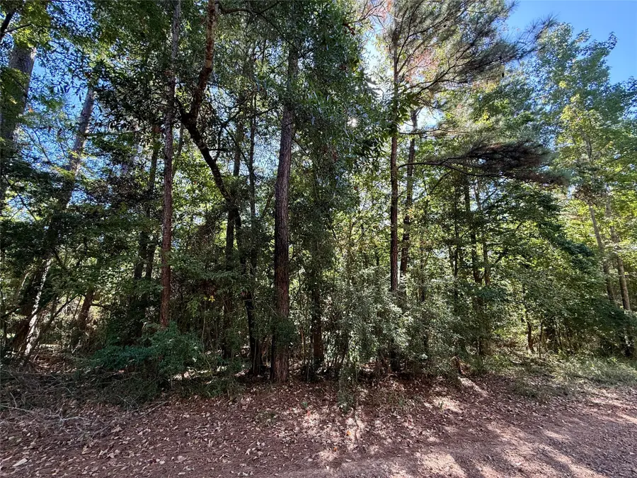 N/a Lot 19 Holly Hill Road, Livingston, TX 77351 - #3
