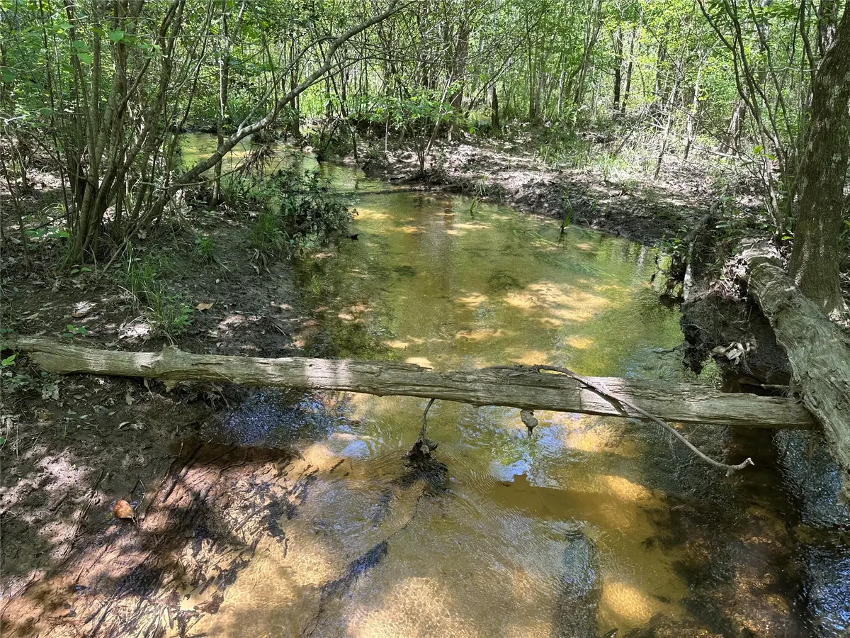 TBD Pr 7261, Colmesneil, TX 75938 - Image #1