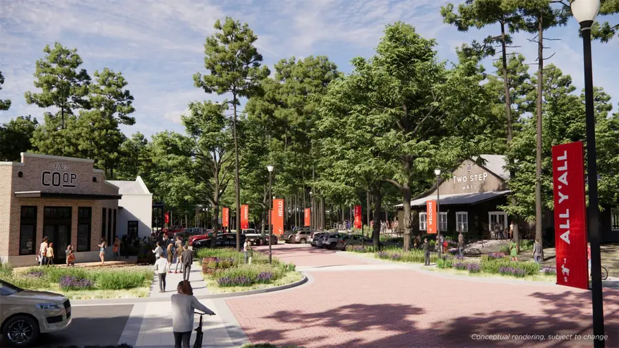 11271 Dance Hall Drive, Montgomery, TX 77316 - Image #2