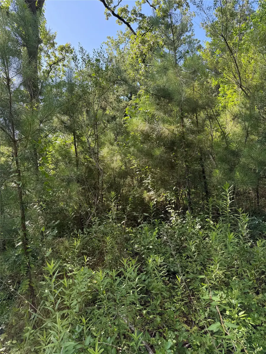 908 N Hendrix Avenue, Diboll, TX 75941 - #2