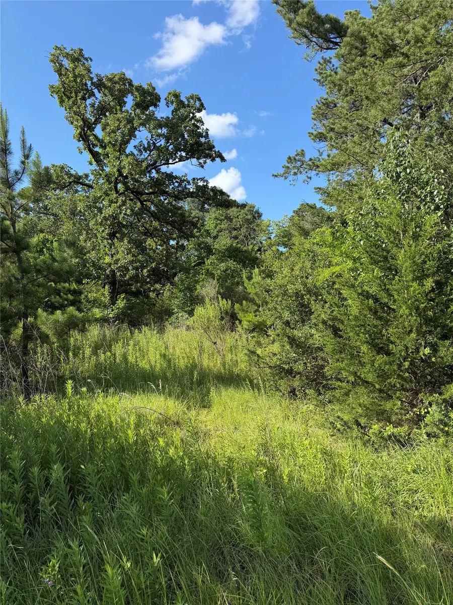 908 N Hendrix Avenue, Diboll, TX 75941 - #3
