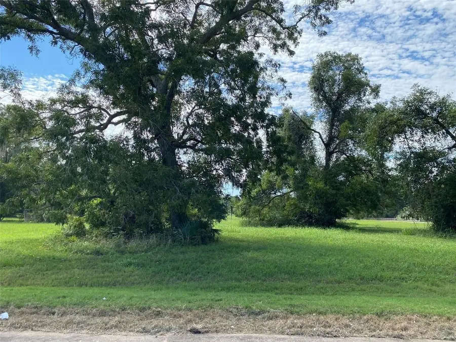 275 Horse Shoe Trail, Angleton, TX 77515 - #3