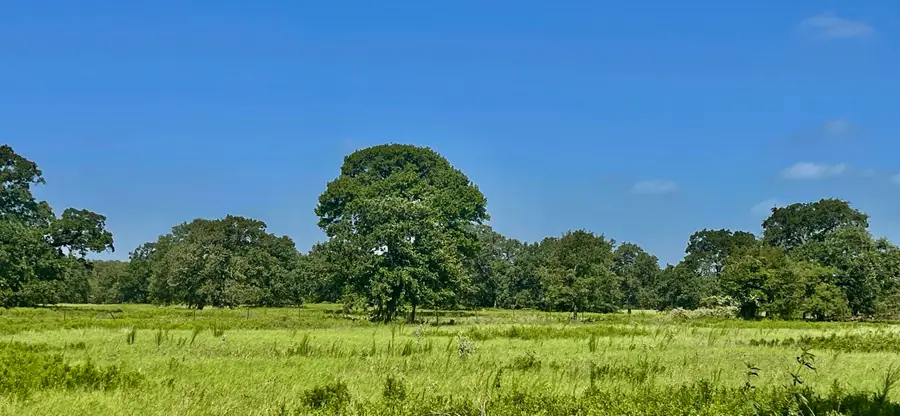 345 Fm 933, Aquilla, TX 76622 - Image #3