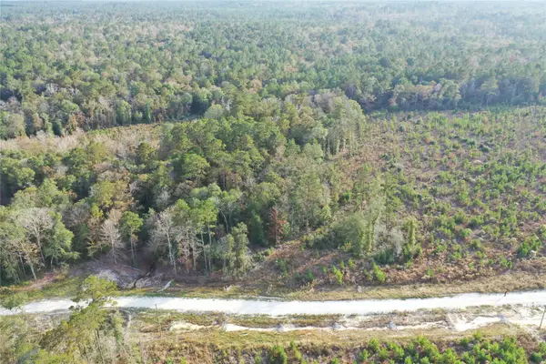 TBD Lady Luck Parcel Id 246445 Road, Livingston, TX 77351