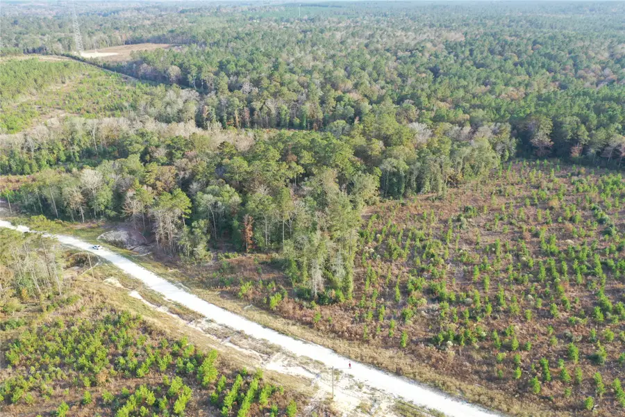 TBD Lady Luck Parcel Id 246445 Road, Livingston, TX 77351 - Image #2