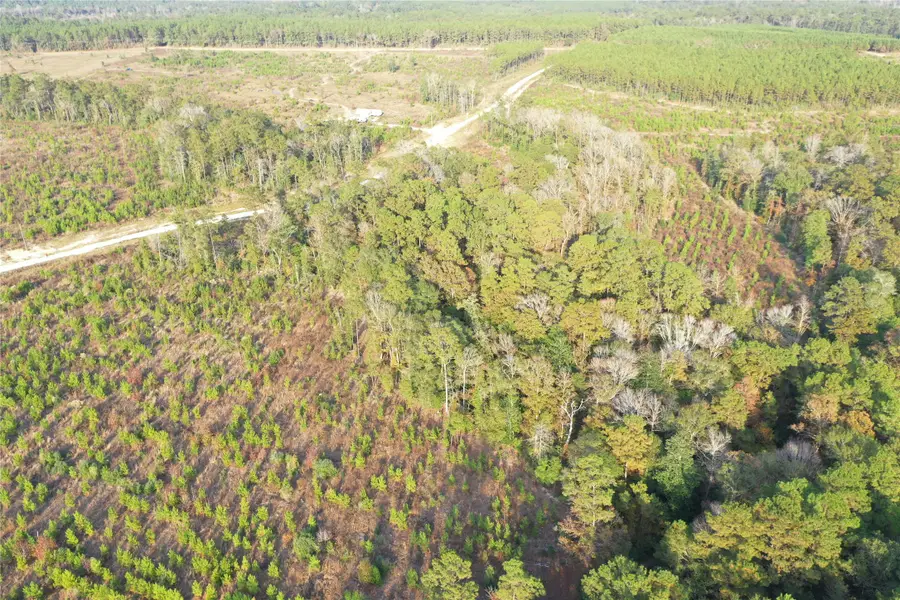 TBD Lady Luck Parcel Id 246445 Road, Livingston, TX 77351 - Image #3