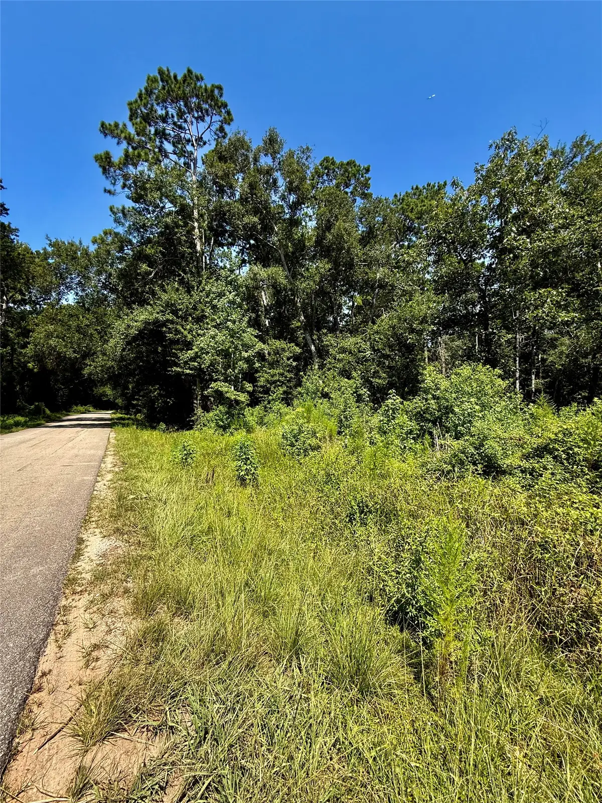 TBD Lot 3 Rolling Hills Drive, Porter, TX 77365 - #1