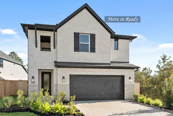 26133 North Skylight Brook Circle, Montgomery, TX 77316